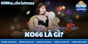 KO66 là gì